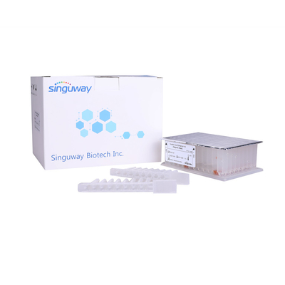 핵산 바이러스 dna 정화는 자석 비즈 RNA 정화 동작 키트 시구웨이를 장비를 답니다