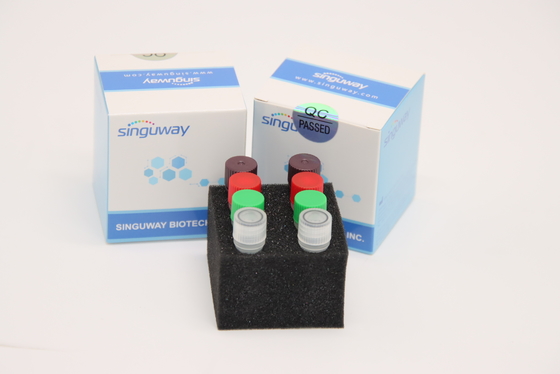 휘황한 실시간 HCV RT PCR 장비 HSV2 시험 키트 실험실 사용 CE