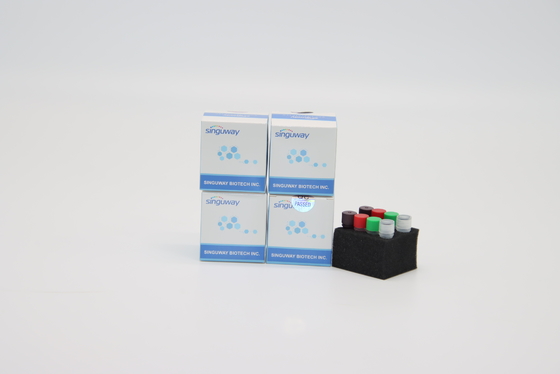 즉각적 HIV PCR 시험 키트 POCT IVD 임상적 진단 실시간 PCR 검정 키트