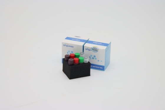 ISO9001 ISO13485와 유전적 테스팅 광견병 바이러스 DNA PCR 검정 키트