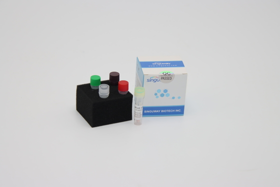 HBV HCV 실시간 PCR 검정 키트 PCR 증폭은 20uL 반응 부피를 장비를 답니다