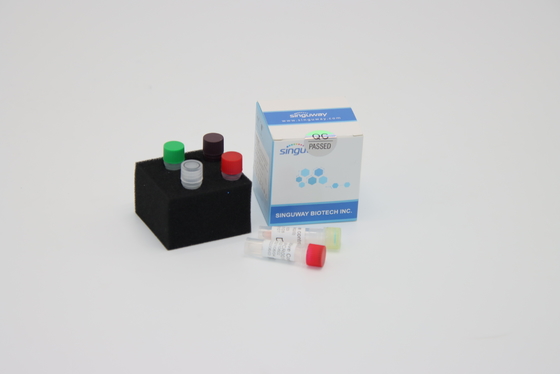 급속한 광견병 바이러스 DNA PCR 검정 키트 시약은 PCR를 요구했습니다