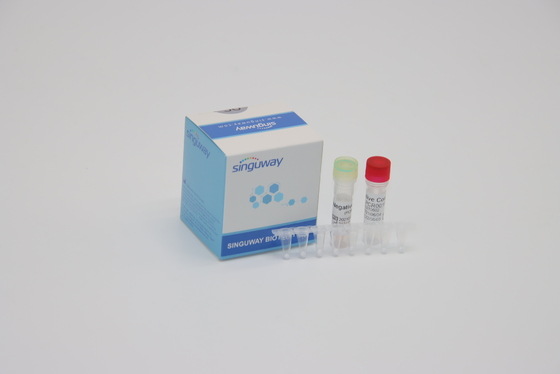 단일 스텝 PCR 장비를 검사하는 임상적 진단 IVD 실시간 PCR 시약 형광