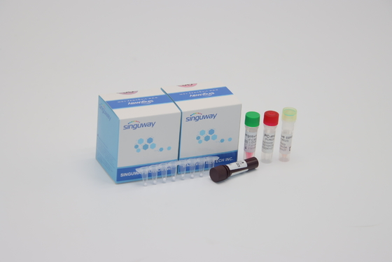 호흡 신시튬 바이러스 RT PCR 진단상의 키트 RSV PCR 탐지는 비강소제법을 장비를 답니다
