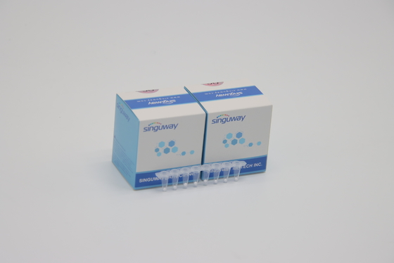 고안정성 HCV 실시간 PCR 장비 HBV B 형 간염 신속 시험 장비 연구소 시약 ISO13485