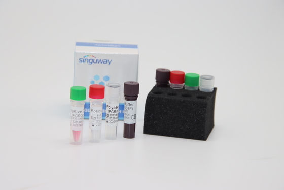 보카 바이러스 하보프 RT PCR 면봉시험은 ISO9001 양적 형광성 검사 PCR 장비를 장비를 답니다