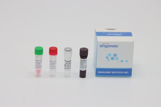 CMV 바이러스 RT PCR 시험은 ISO13485를 시험하는 실시간 핵산을 장비를 답니다
