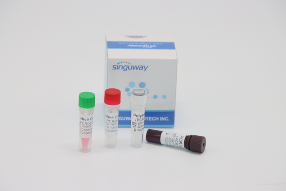 양적 분자 진단 RT PCR 검사는 HPV Tox 바이러스를 위해 실시간 장비를 갖춥니다