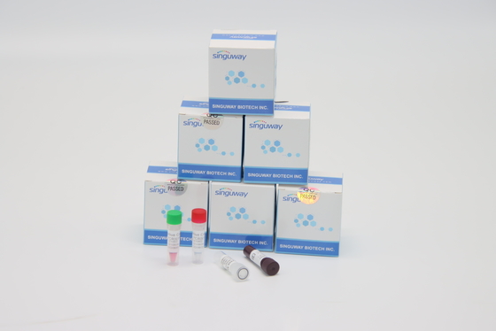 ISO9001 빠른 헬리코박터 파이로리 바이러스 RT PCR 시험은 고정밀도를 장비를 답니다