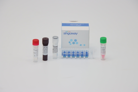 RT PCR 시험 키트 ISO13485를 시험하는 HPV 16 18 바이러스 핵산