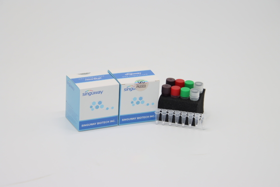 고 정밀도 HIV 실시간 PCR 장비 POCT IVD 임상적 실시간 PCR 진단상의 키트