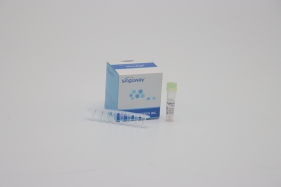 플아 실수 PCR 탐지를 시험하는 DNA는 사용하여 실험실을 위한 1 단계 RT PCR 장비를 장비를 답니다