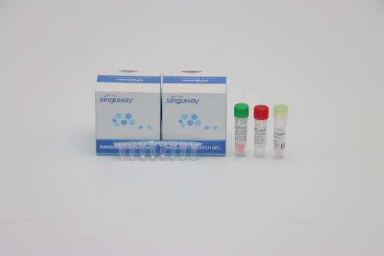 독감 독감 비 단일 스텝 실시간 PCR가 대단히 민감한 96 검사 HIV PCR 시험 키트를 장비를 답니다