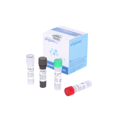 30 분 이내에 빠른 실시간 빠른 코비드 19 PCR 테스트 중인 키트 탐지