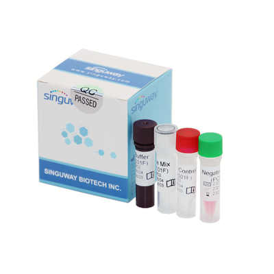 고 정밀도 Covid-19 실시간 PCR 탐지는 휘황한 탐침 50 카피 / Ml을 장비를 답니다