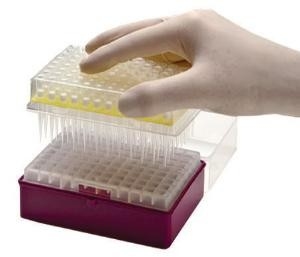 실험실 소비할 수 있는 PCR 피펫은 버릴 수 있는 마이크로 피페트 팁 10-1250μL에게 비밀 정보를 제공합니다