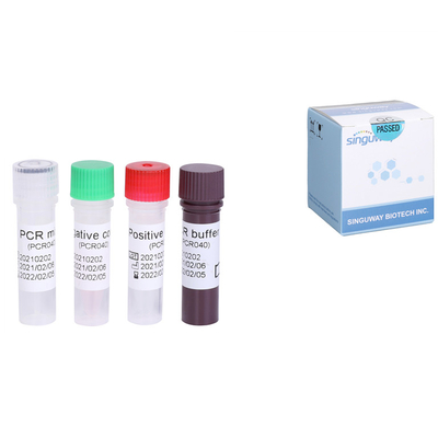 C형간염 비루스 리보 핵산 HCV 신속 시험 장비 양적 HCV RT PCR 장비