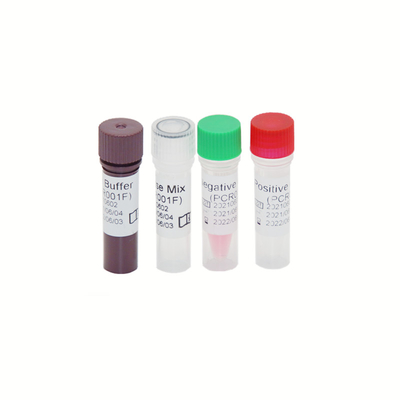 HBV HCV HIV-1 게놈 RT PCR 시험은 높은 력 30 IU / ML을 장비를 답니다